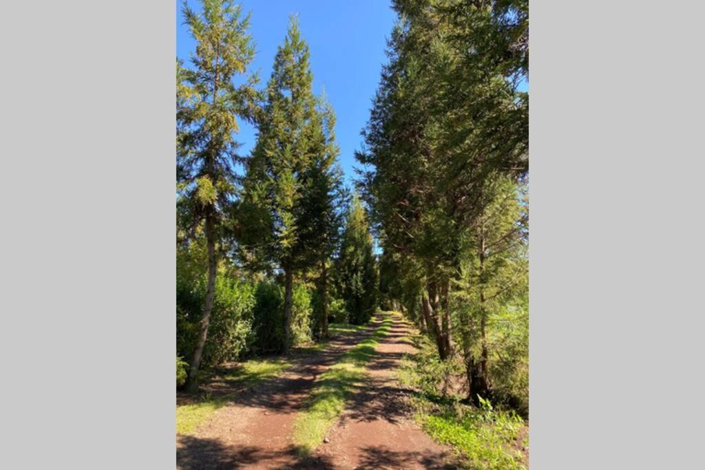 Agreable Chalet Au Milieu Des Sapins La Plaine des Cafres Luaran gambar